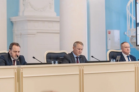 Депутаты Рязанской областной Думы поддержали увеличение штрафов за повторную парковку на газонах и детских площадках