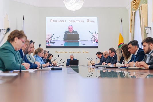 В региональном парламенте обсудили введение в Рязанской области запрета розничной продажи вейпов