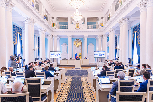 Рязанская областная Дума утвердила треть нового состава Общественной палаты региона