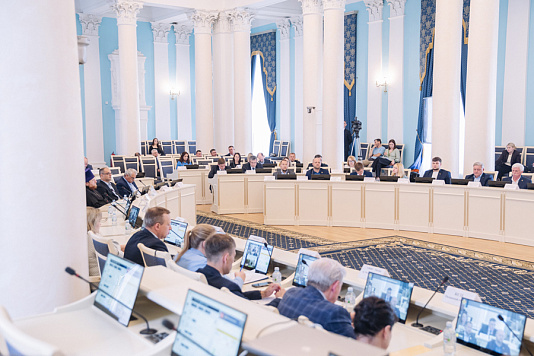 В региональном парламенте обсудили вопросы финансирования системы здравоохранения Рязанской области