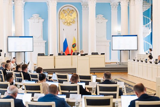 В Рязанской областной Думе обсудили исполнение бюджета региона за 2024  год