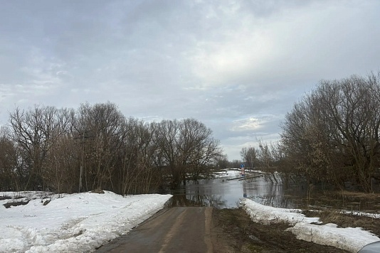 Депутаты регионального парламента держат на контроле паводковую обстановку в Рязанской области