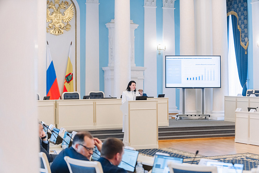 Уполномоченный по правам человека в Рязанской области Наталья Епихина представила парламентариям отчет о работе в минувшем году